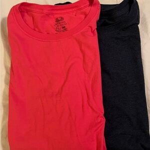 Two Fruit of the Loom Tees